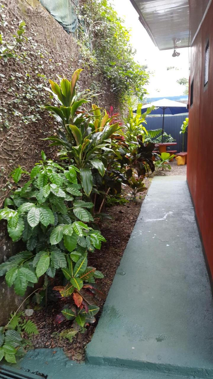 Red Frog Hotel La Fortuna Zewnętrze zdjęcie